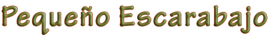 Pequeño_escarabajo
