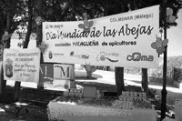 foto04