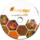 CD00