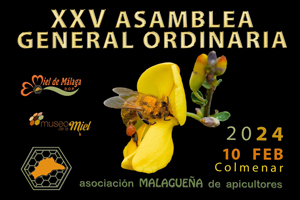 XXIV Asamblea General